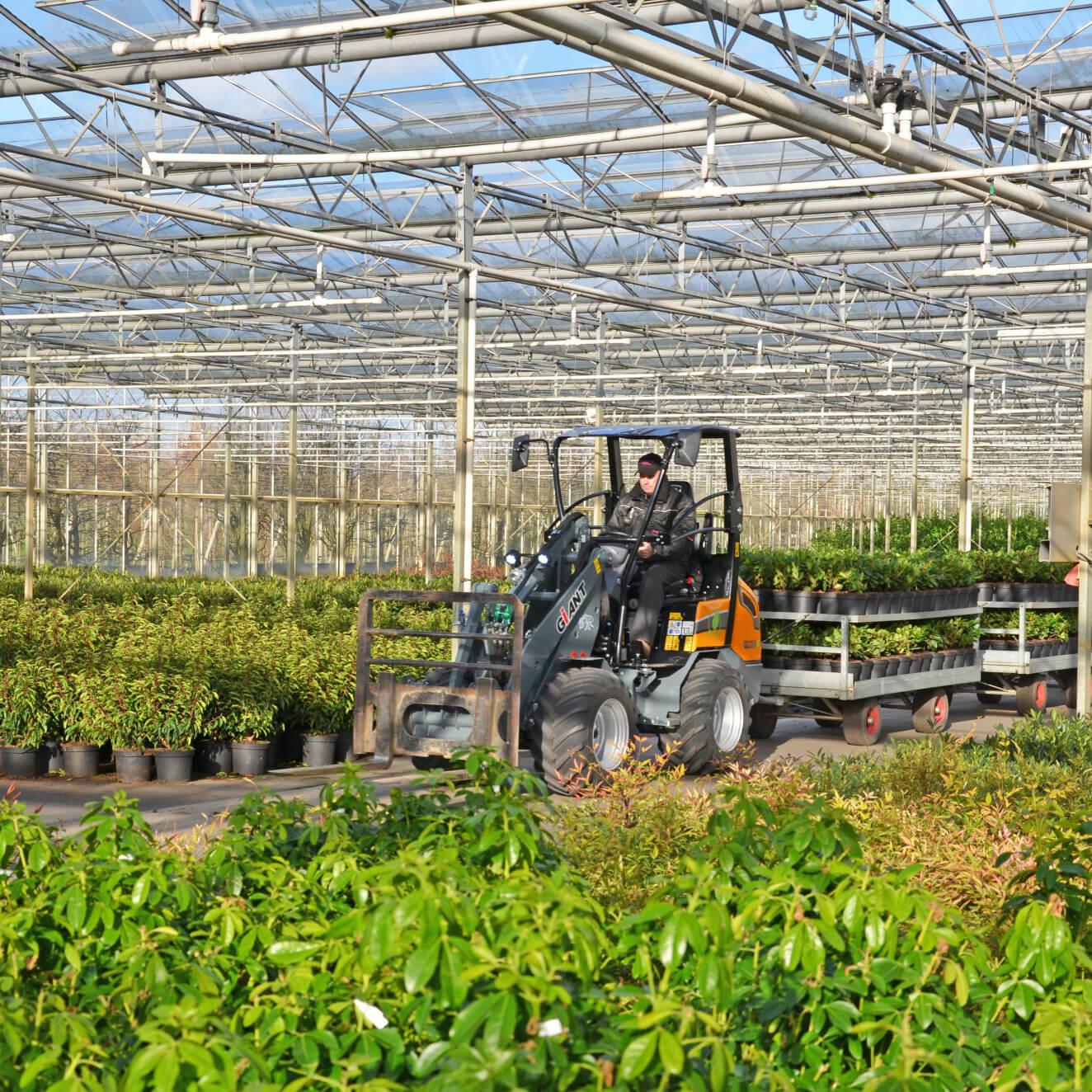 g2200e plantenkwekerij